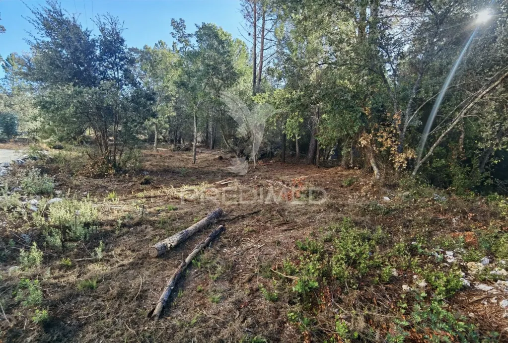 Aed - Urban Plot with Field View in Minde / Alcanena