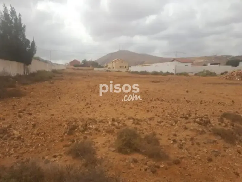 Aed - Rustic Farm Plot in Los Estancos, Fuerteventura
