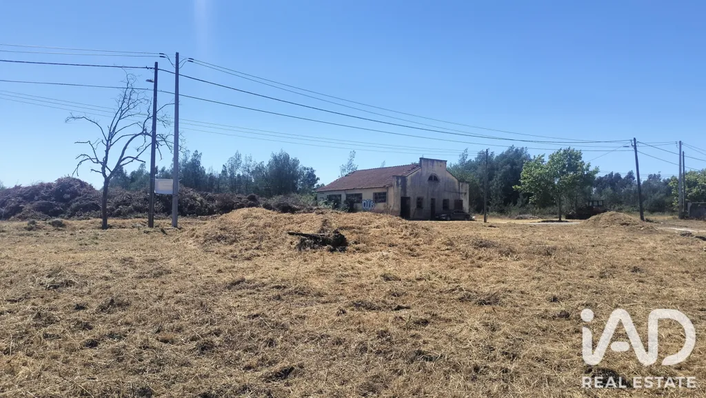 Rural Land with Expansion Potential in Tondela