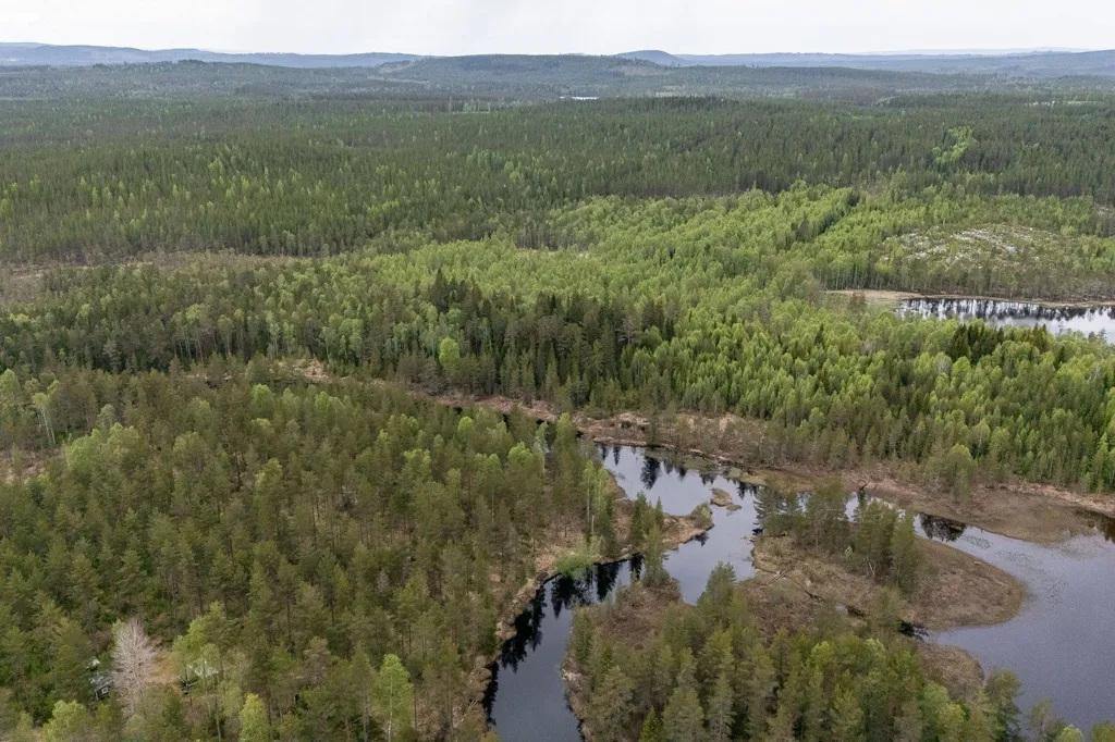 Vue aérienne - Forest Property with Timber in Ljusdal