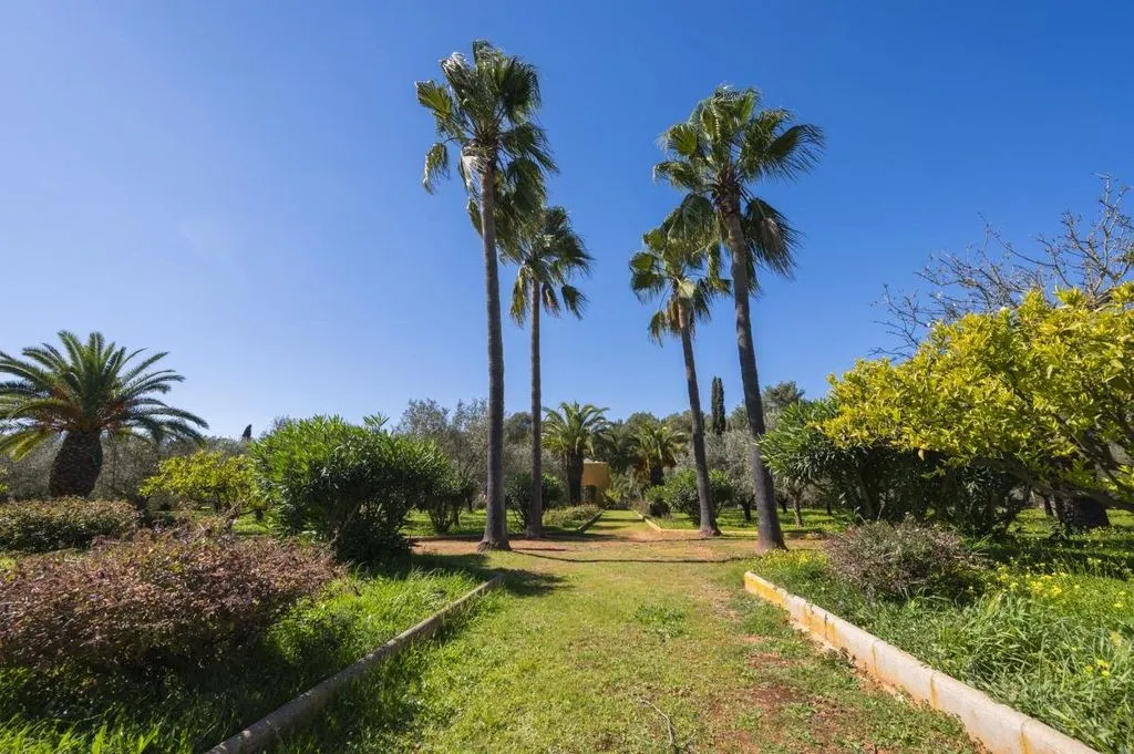 Aed - Exclusive Country House with Rustic Charm in Ibiza