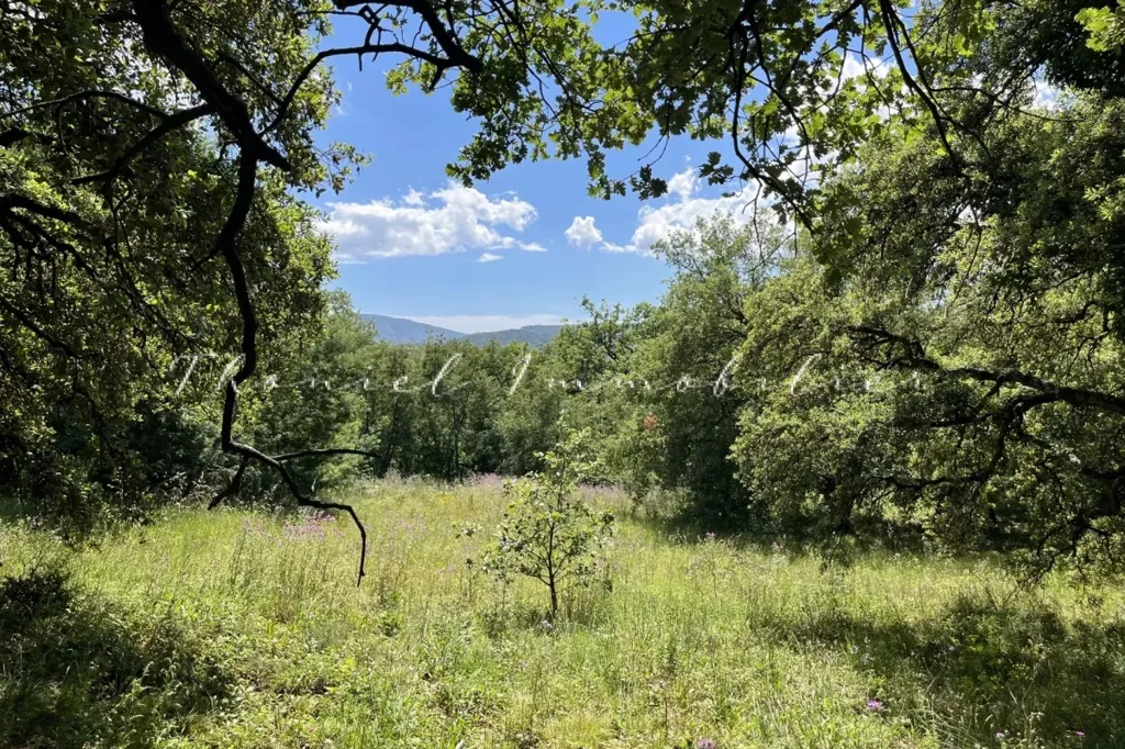 Jardin - Terrain à Bâtir avec Vue sur Château à Grimaud