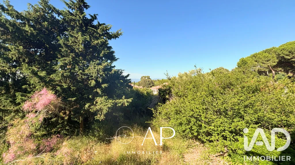 Jardin - Maison à Rénover avec Vue Mer à Hyères