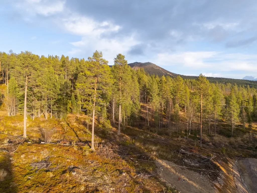 Plot with Ski Access in Härjedalen