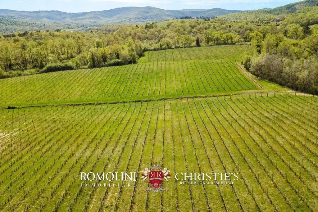 Vue aérienne - Vineyard Estate with Chianti DOCG in Bucine