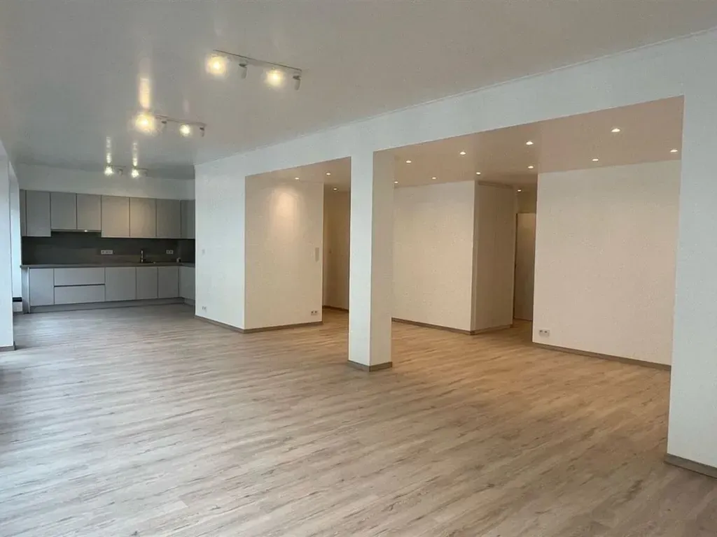 Séjour - Appartement rénové avec vue sur les maisons néoclassiques à Anvers