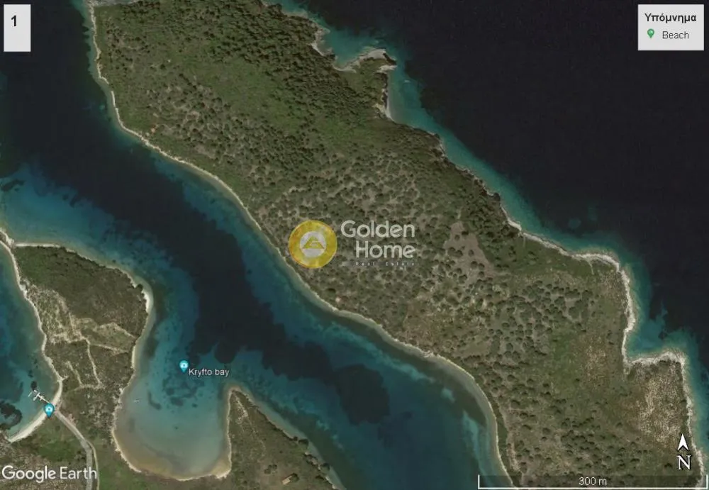 Olive Grove with Sea View in Sithonia