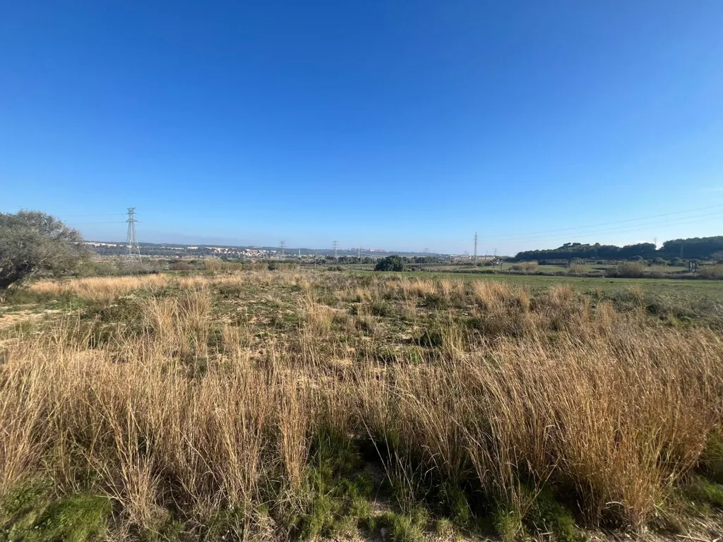 Jardín - Terreno agrícola en Sant Salvador, Tarragona