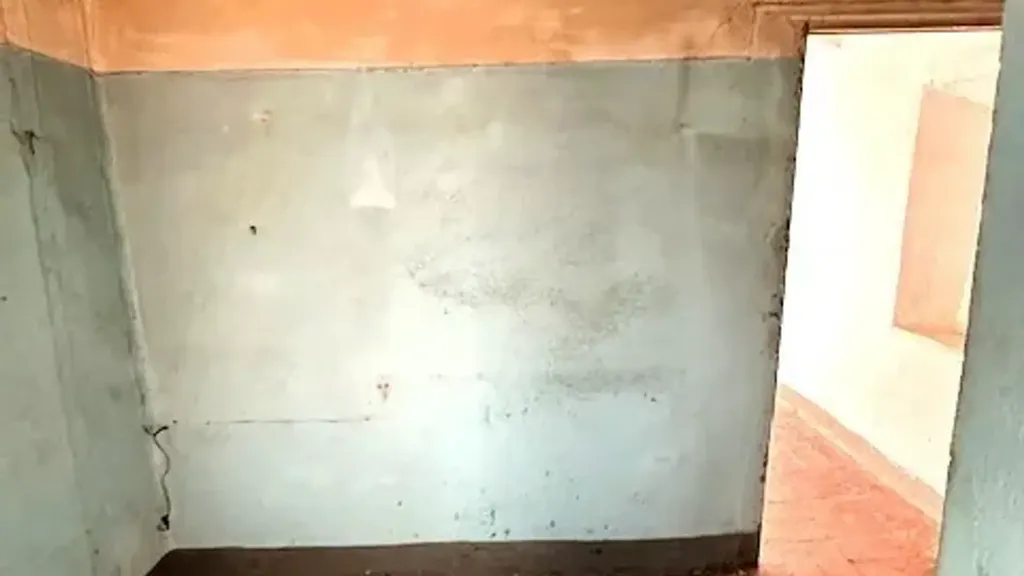 Toad - Terraced Villa to Renovate in Massarosa