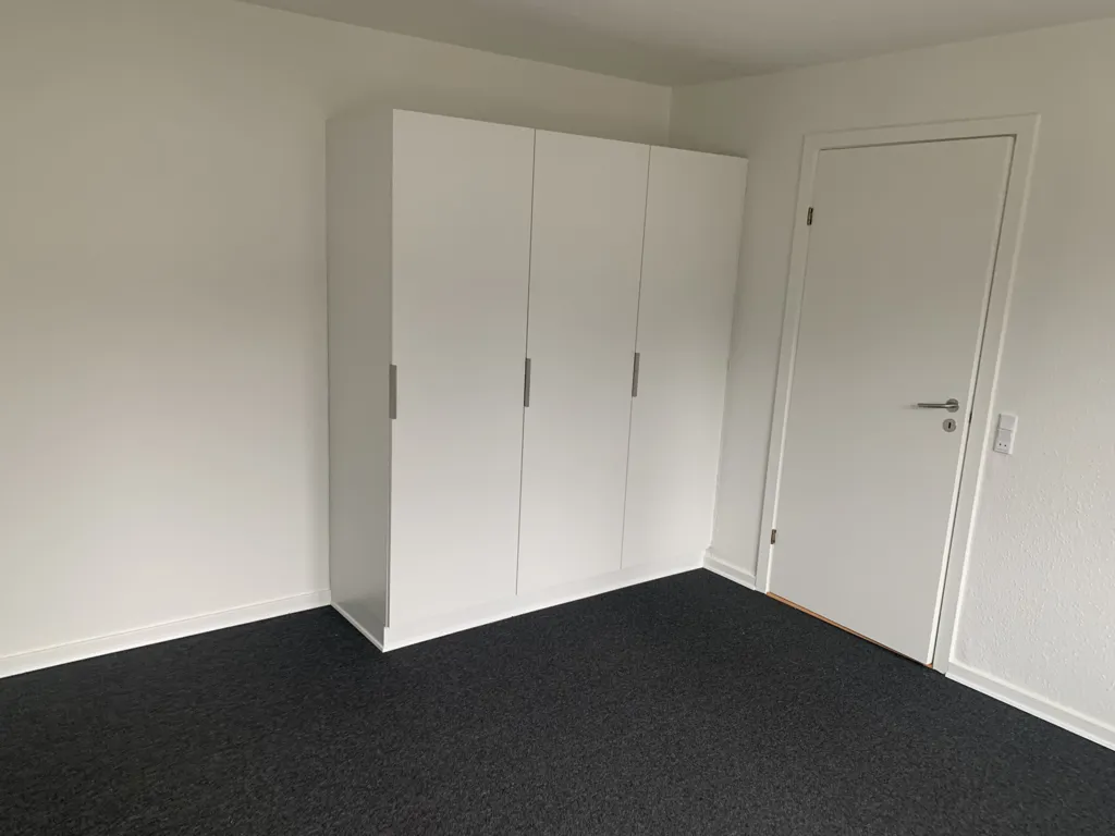 Toad - Modernised Flat with Kitchen in Brande Centre