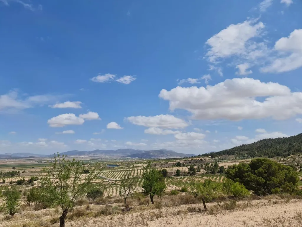 Jardin - Rural Plot with Orchard Views in Yecla
