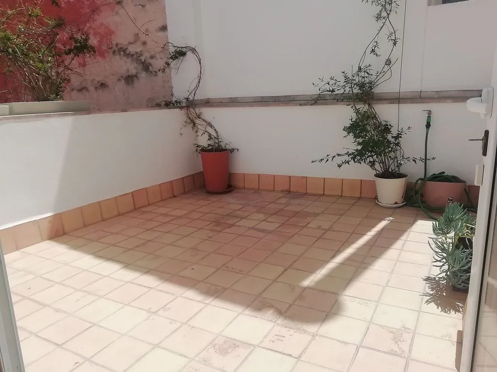 Jardin - Duplex with Terrace in La Llotja - Sant Jaume