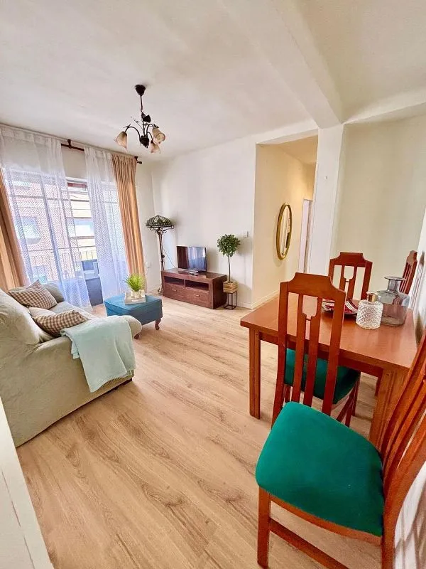 Séjour - Furnished Flat with Terrace in Alameda