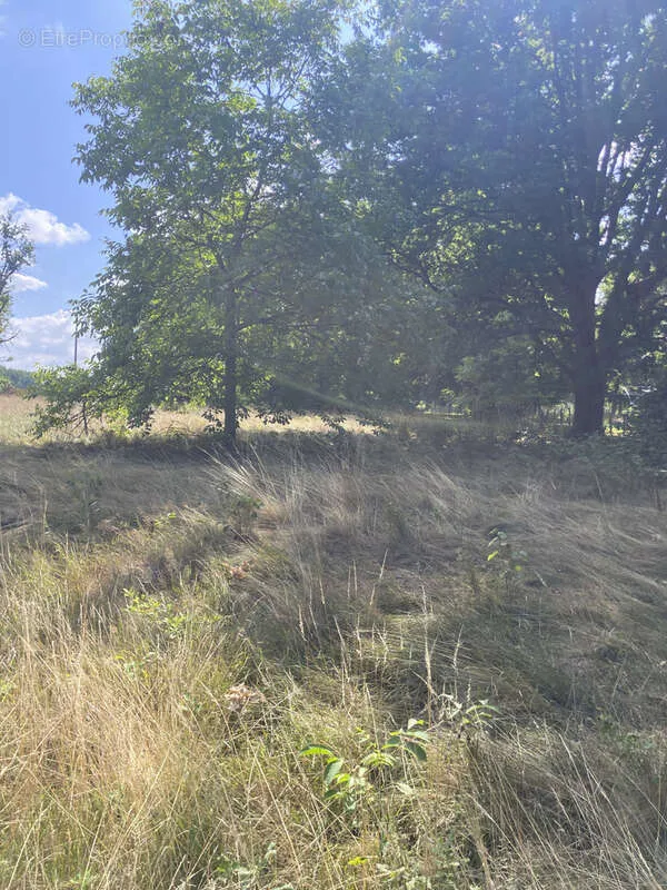 Aed - Longère with Dependencies in Countryside