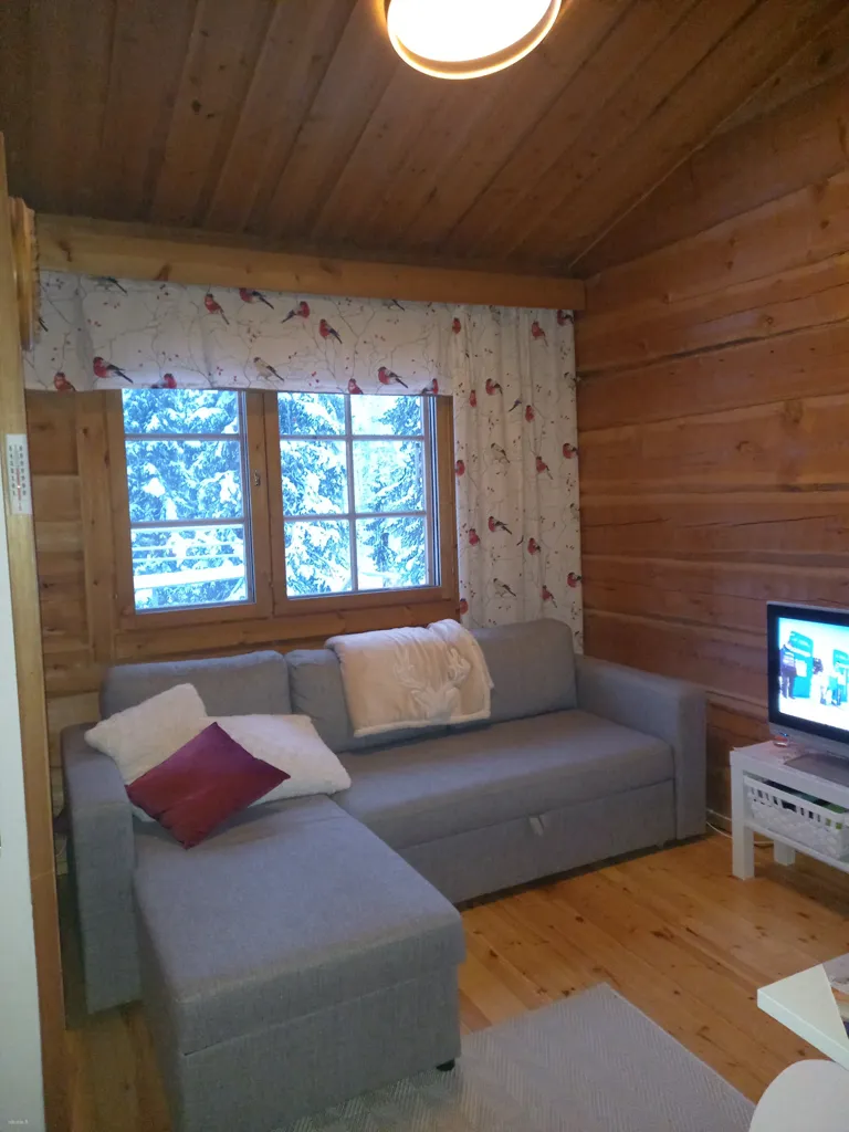 Séjour - Furnished Apartment with Sauna in Ruka