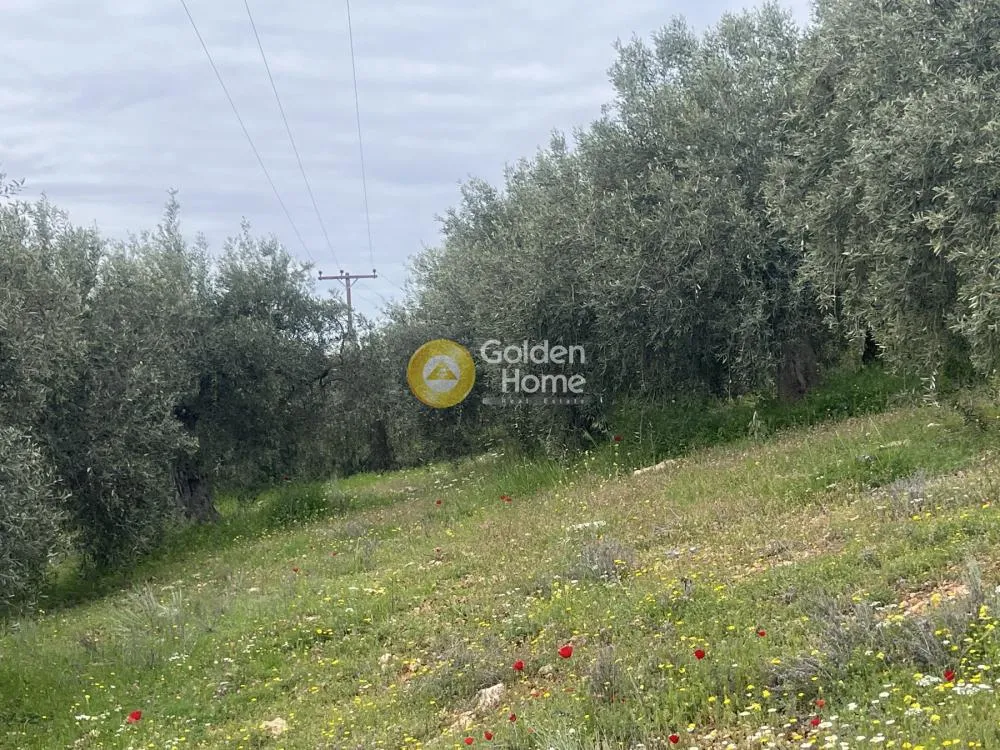 Land in GR