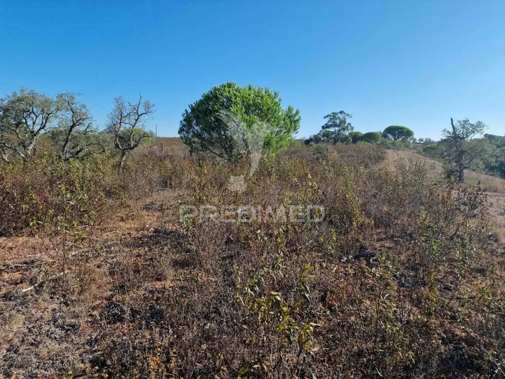 Jardin - Ruin with Construction Potential in São Francisco da Serra