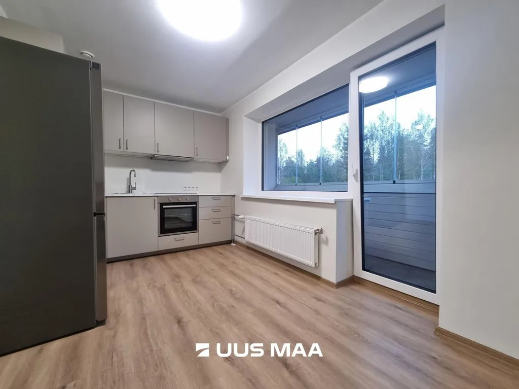 Cuisine - Flat with Recent Renovation in Väike-Maarja