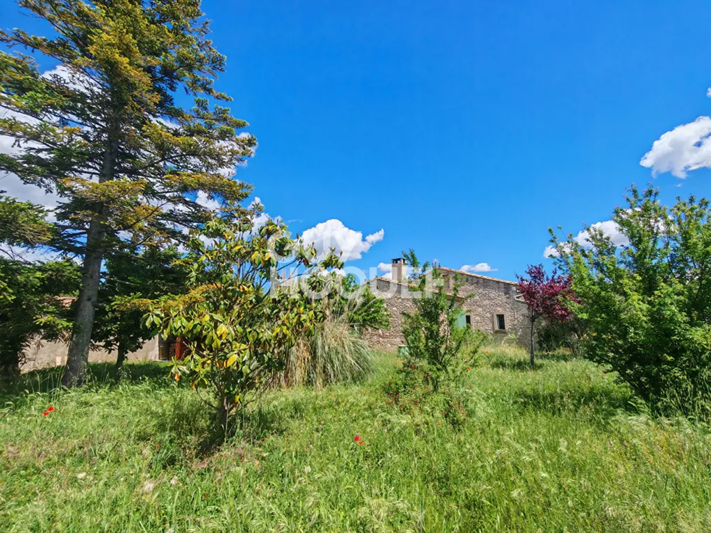 Jardin - Maison de Plain-Pied avec Grand Jardin à Mollégès