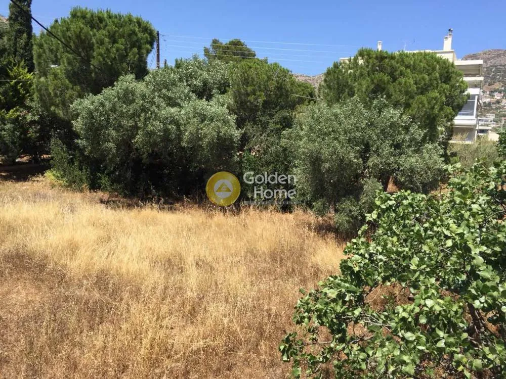 Giardino - Villa with Garden in Eastern Attica