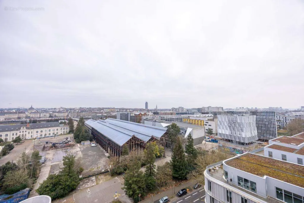 Aerial - 4-Bed Flat with Impressive View in Nantes