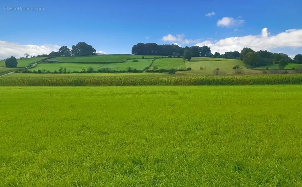 Jardin - Terrain Constructible avec Vue Campagne à Labastide-Villefranche