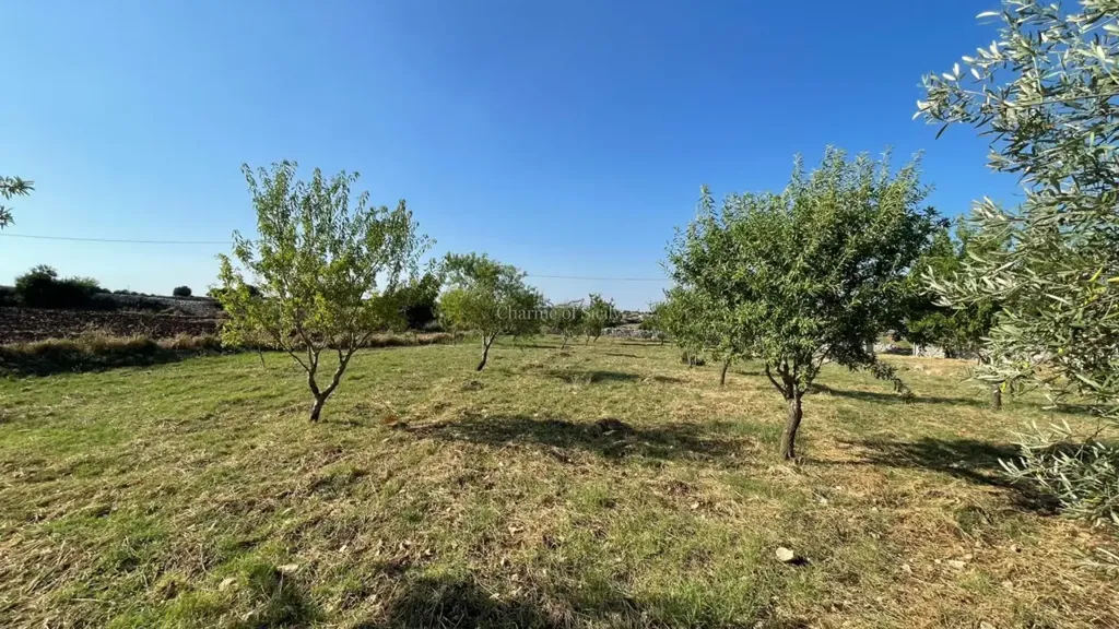 land_plot