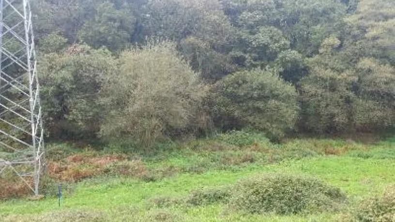 Kinnisvara asukohas Avilés