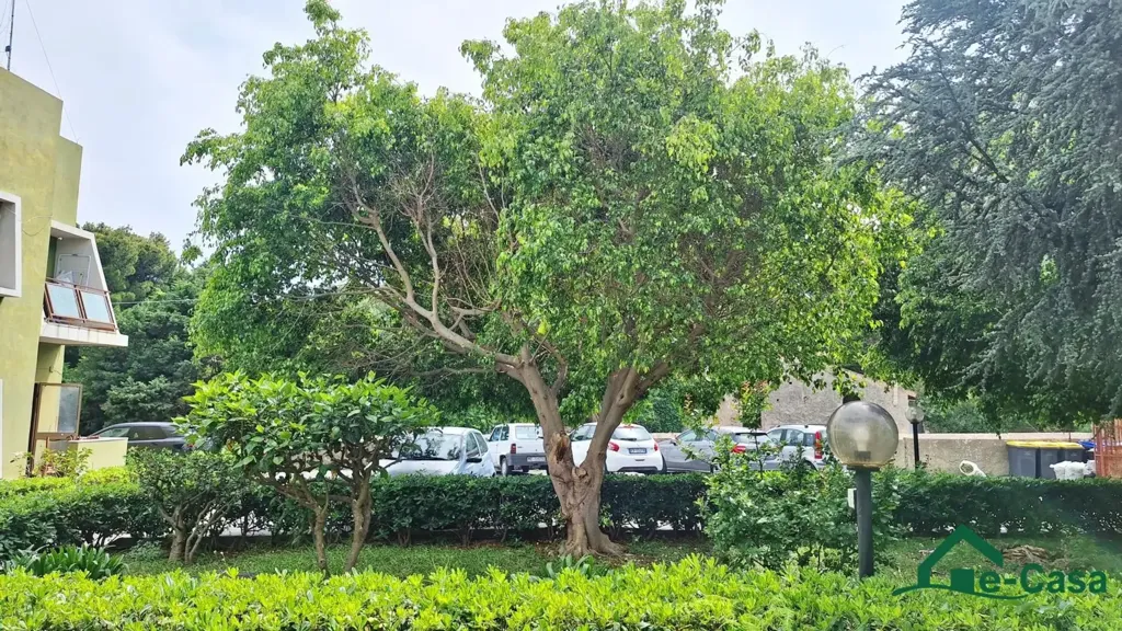 Aed - Villa with Private Garden in Messina