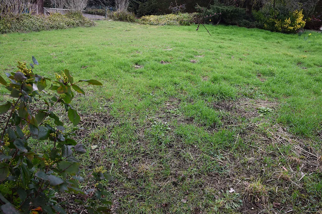 Jardin - Terrain Constructible avec Piscine à Chambœuf