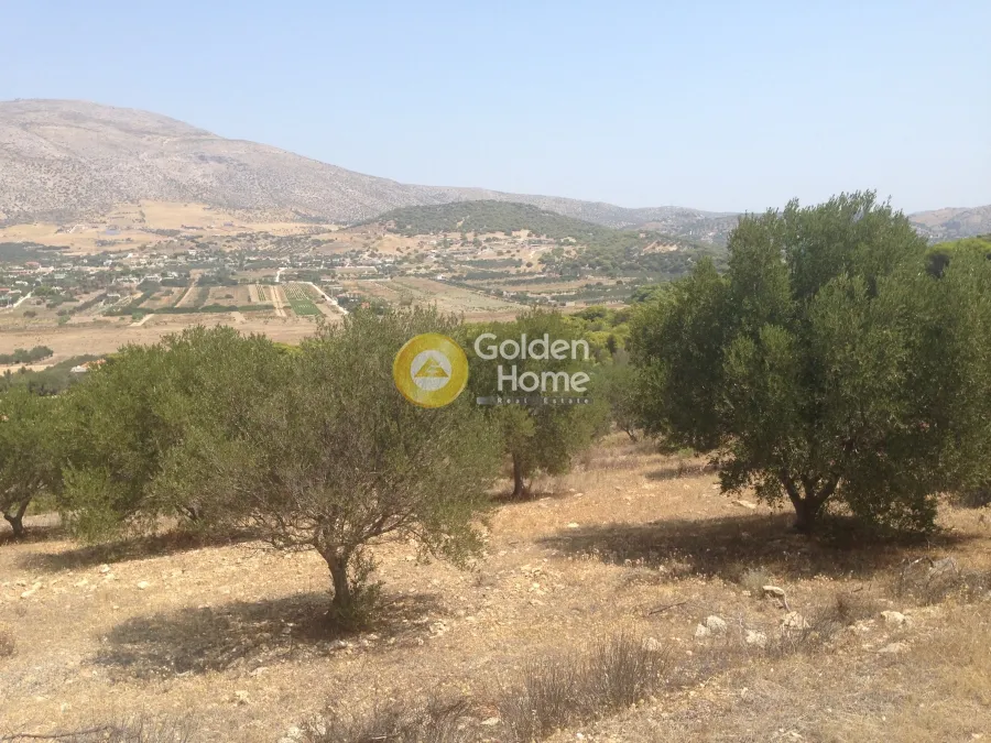 Jardin - Plot with Unrestricted View in Kalivia - Lagonisai
