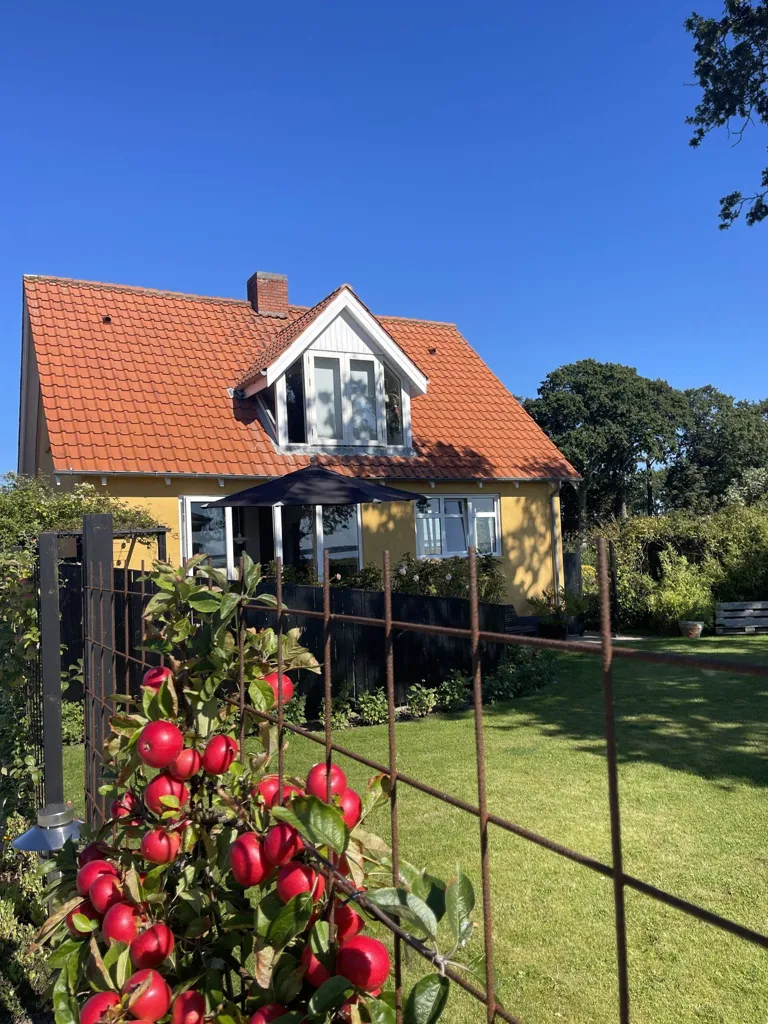 4-toaline maja asukohas Odder