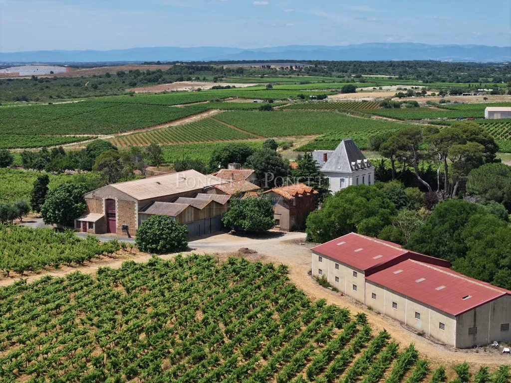 Õhuvaade - Vineyard Estate with Pool near Agde