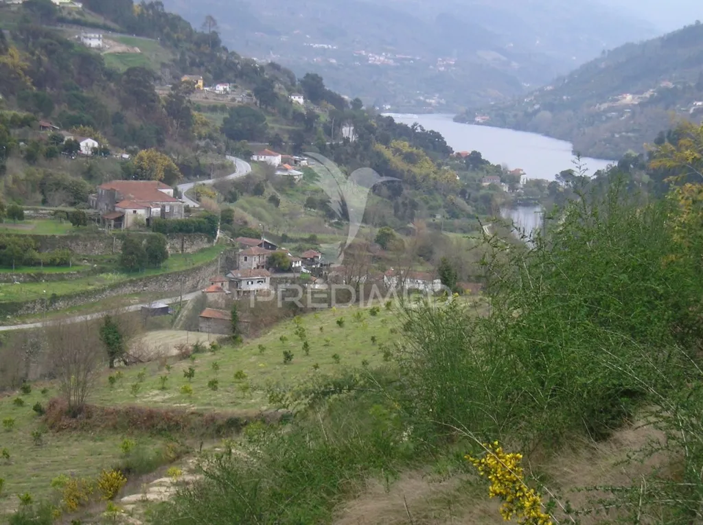 Construction Plot with River Douro Views