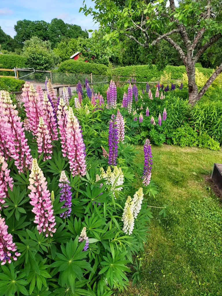 2-toaline maja asukohas Alingsås kommun
