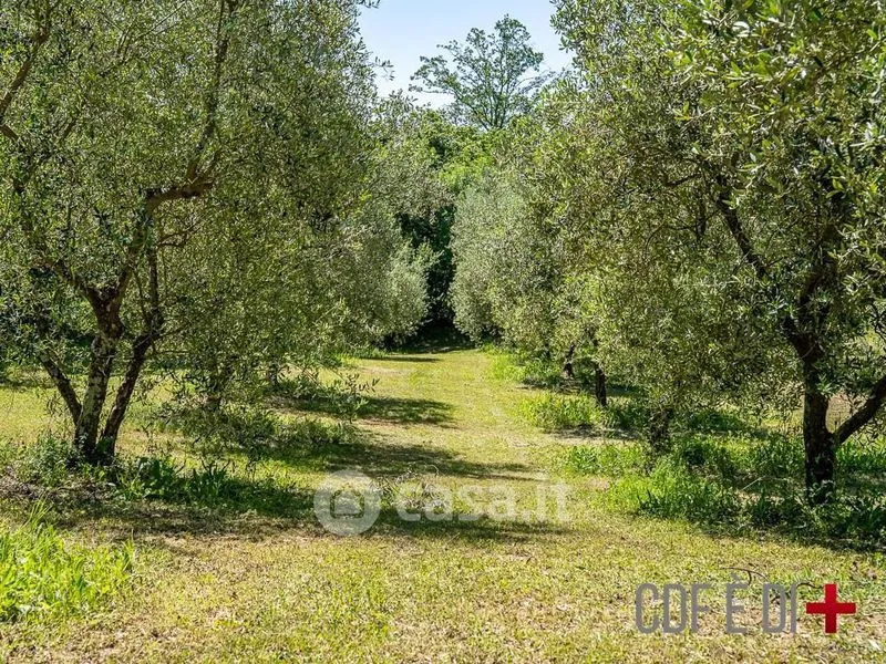 Jardin - Rustic Casale with Pool in Roccastrada