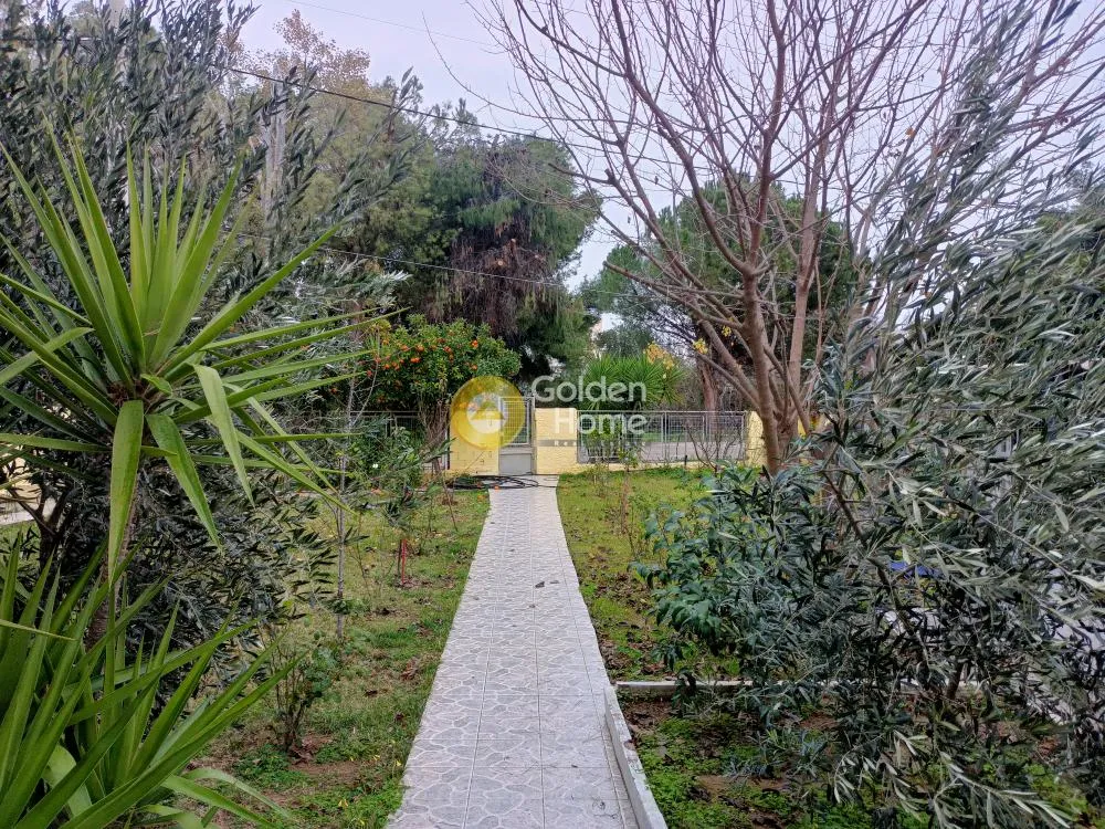 Aed - Corner Plot with Sea View in Skala, Oropos