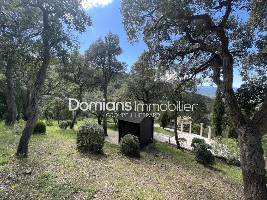Jardin - Maison Luxueuse avec Vue Panoramique sur le Canigou à El Voló