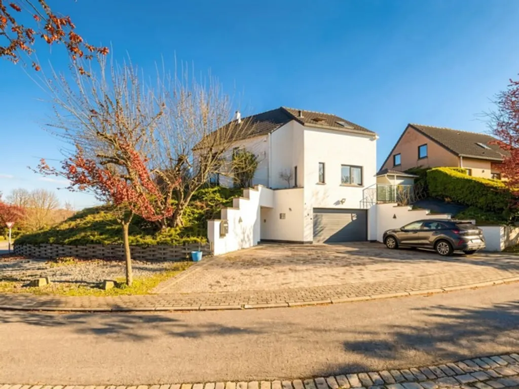 Exterior - Architectural Villa with Terrace in Wavre