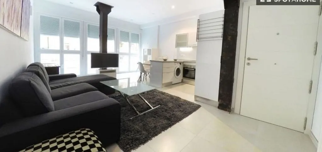 Elutuba - Furnished Flat with Air Conditioning in Sagrario Centre