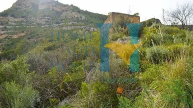 Toutes les photos (15) - Rural Property with Olive Trees in Noto