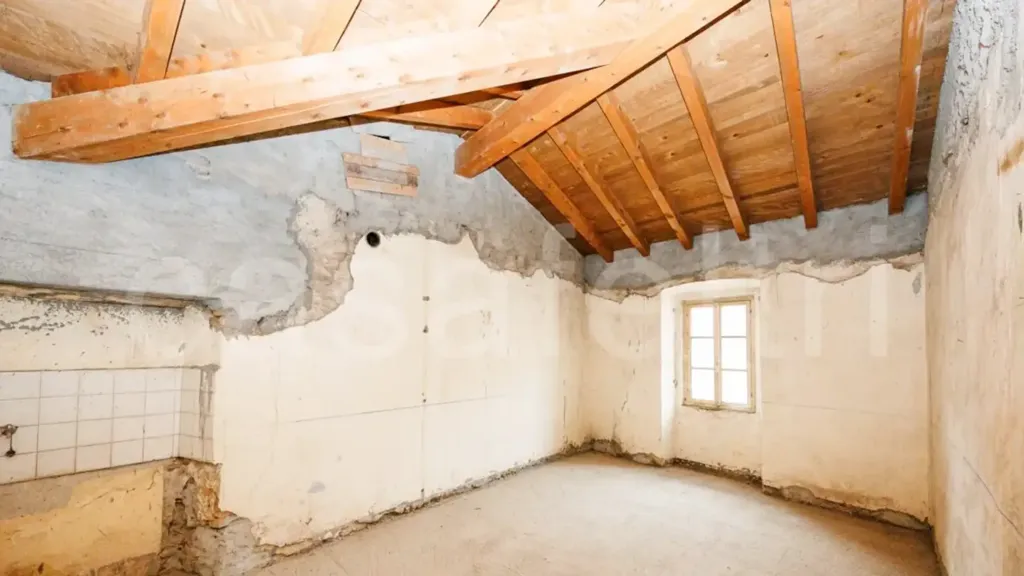 Toad - Historic Villa for Renovation in Stezzano
