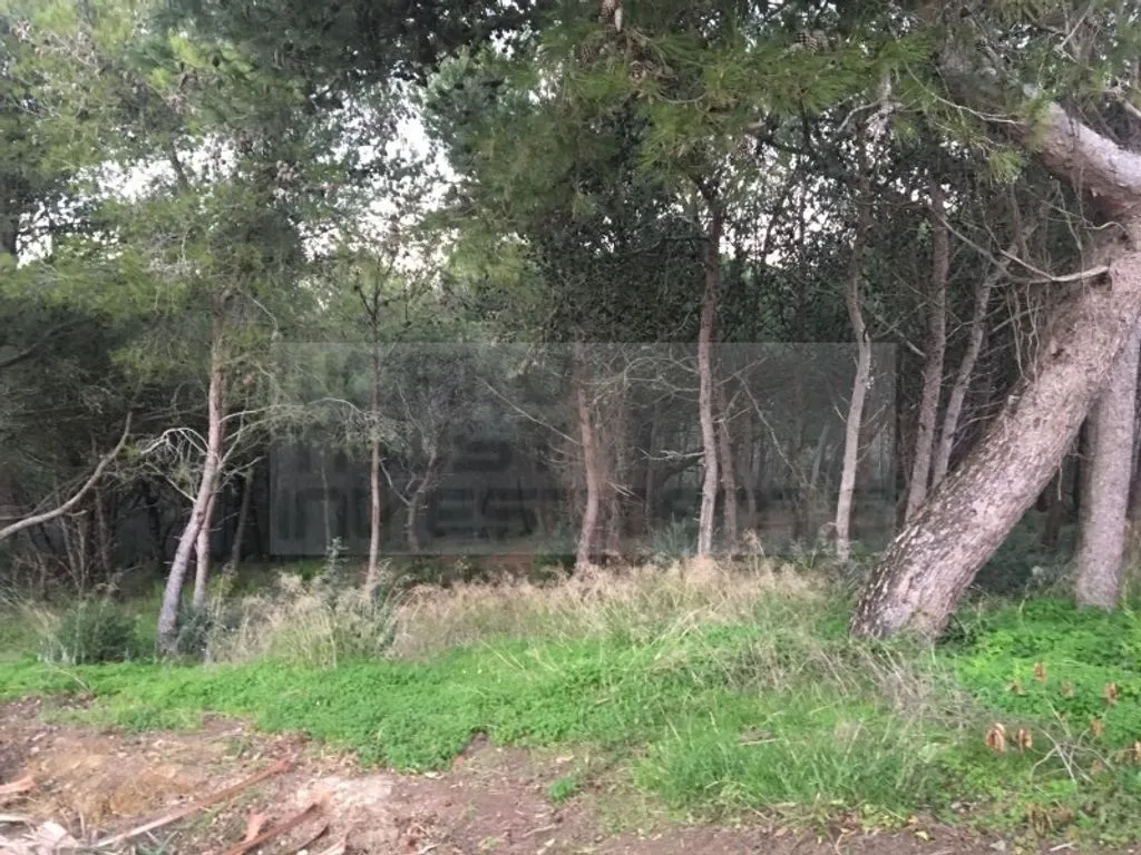 Aed - Building Land in Charneca, Cascais