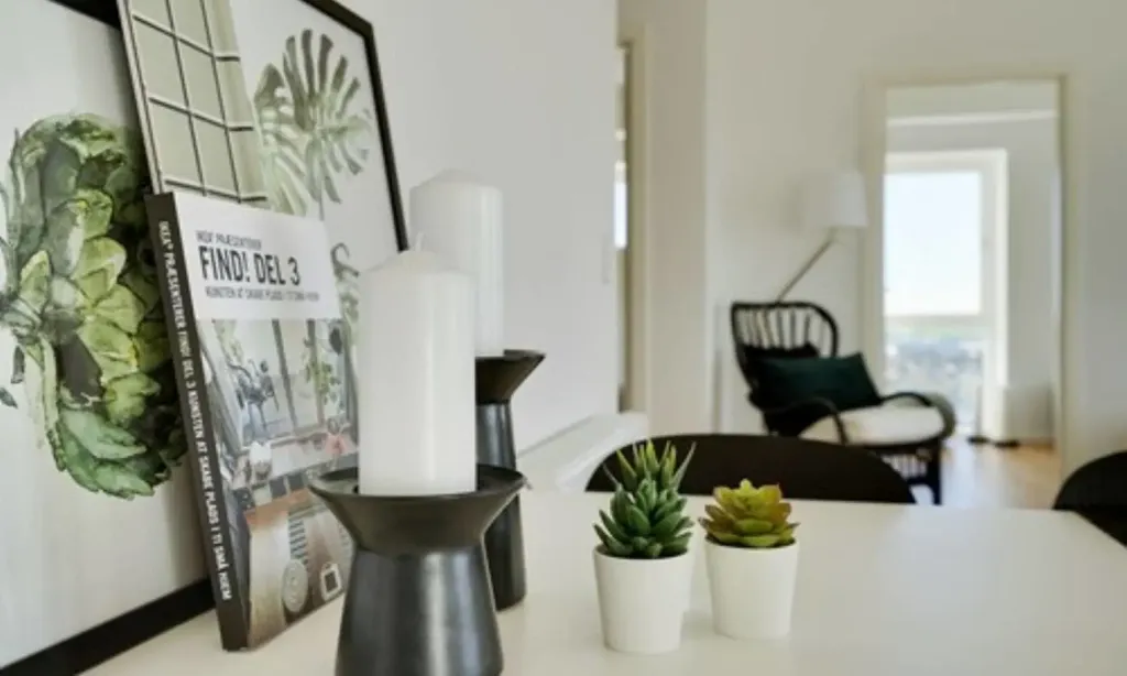 Séjour - 3-Bedroom Apartment in Aalborg Øst