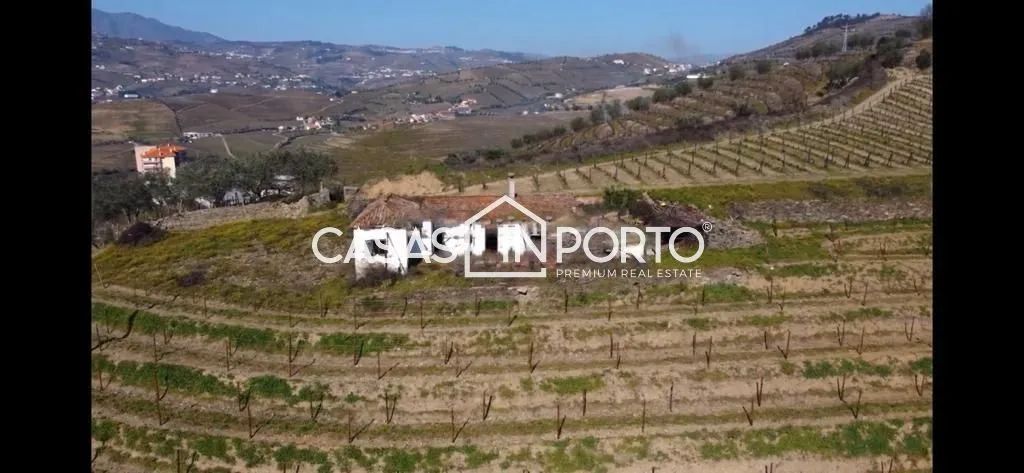 Õhuvaade - Luxury Farmhouse with Vineyard in Peso da Régua