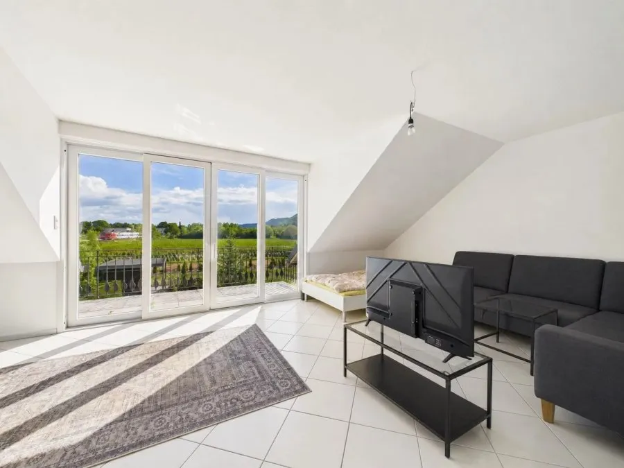 Séjour - Appartement 1 pièces à Trier