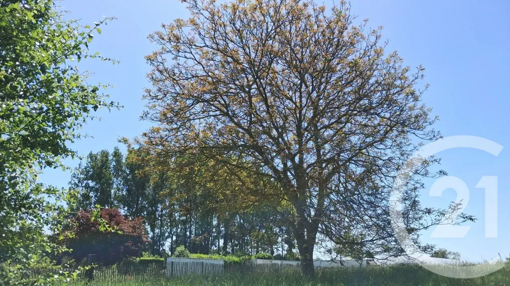 Jardin - Terrain Constructible avec Vue sur la Baie de Somme à Argoules