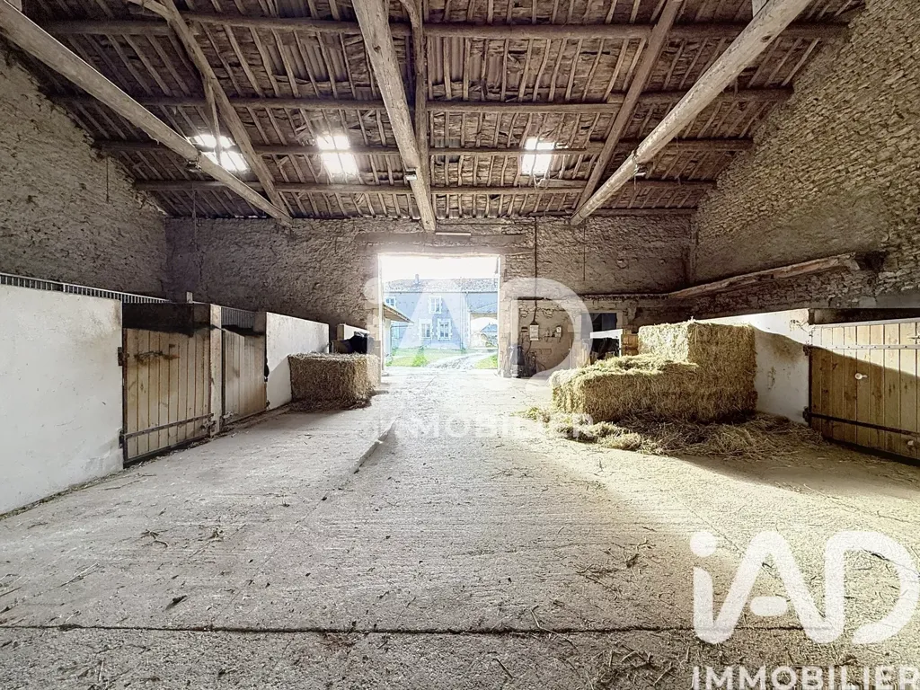 Stanze - Equestrian Domain with House in Nubécourt