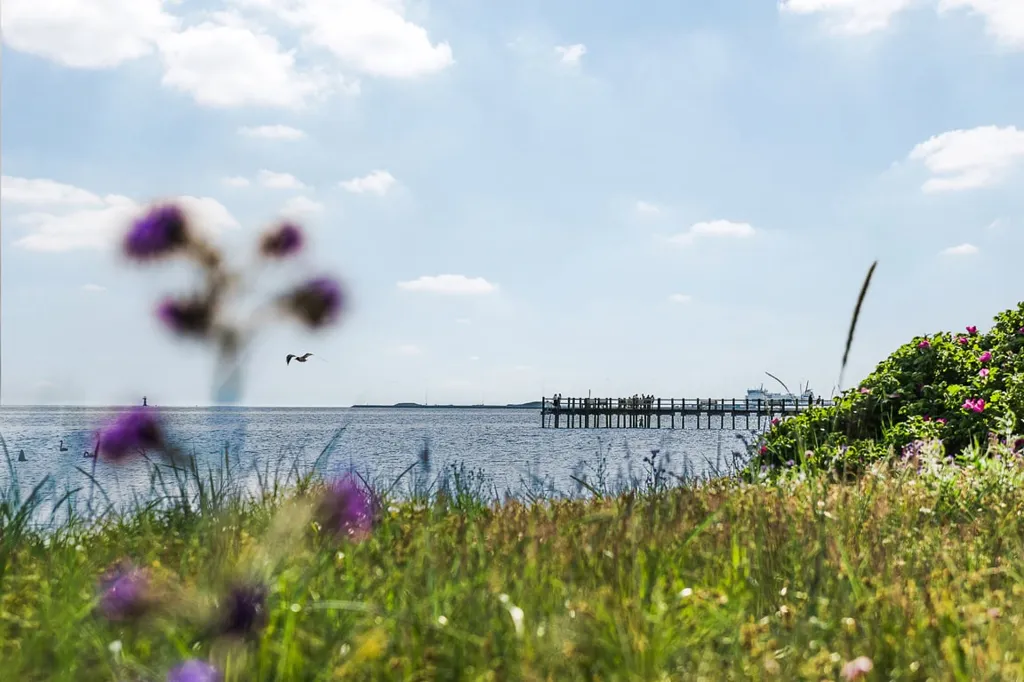 Renovated Apartment with Large Balcony in Central Location