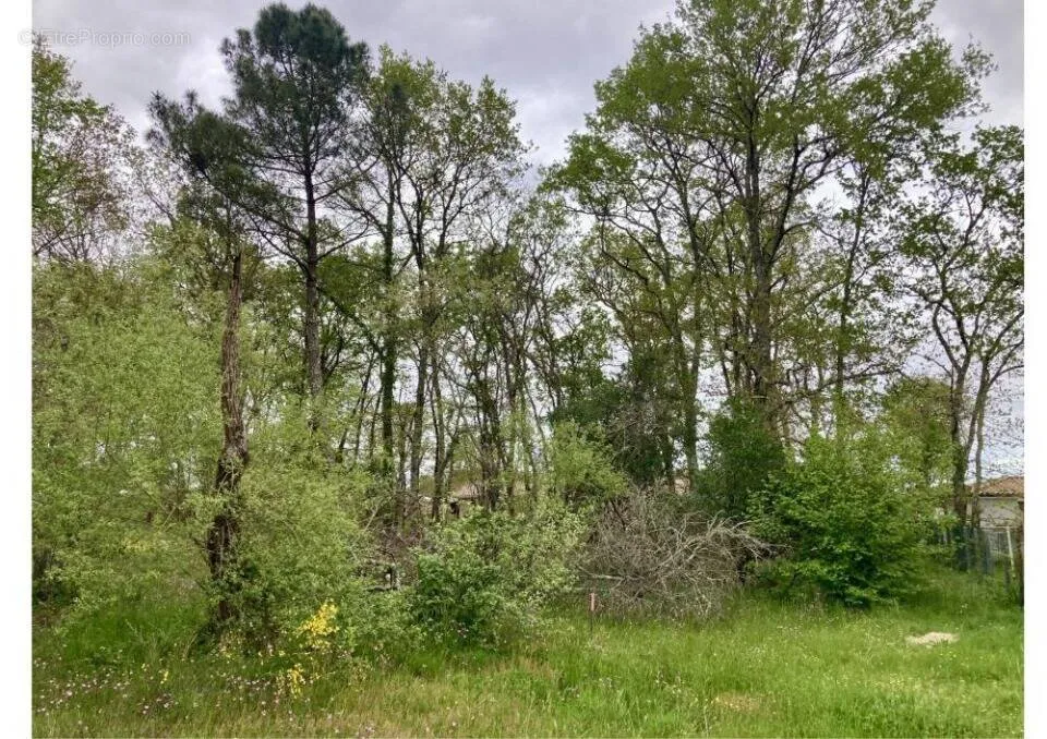 Aed - Buildable Plot with Garden in Leognan